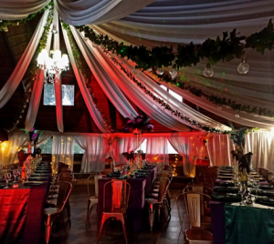 party decor ideas (7)